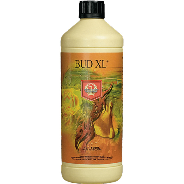 500ml Bud XL House and Garden